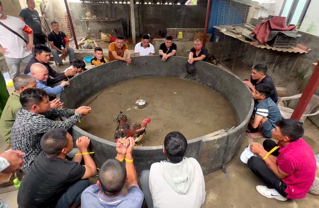 Triệt xóa 3 ổ nhóm tổ chức sử dụng trái phép ma túy, bắt 24 đối tượng